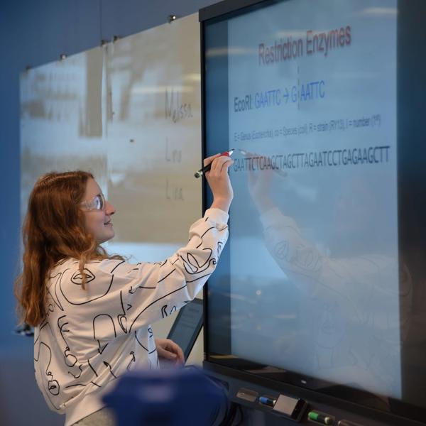 スクリーンに書き込む女性